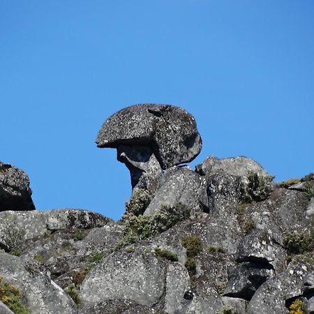 Casa Lagar Do Miradoyro Vendégház Caramulo Kültér fotó